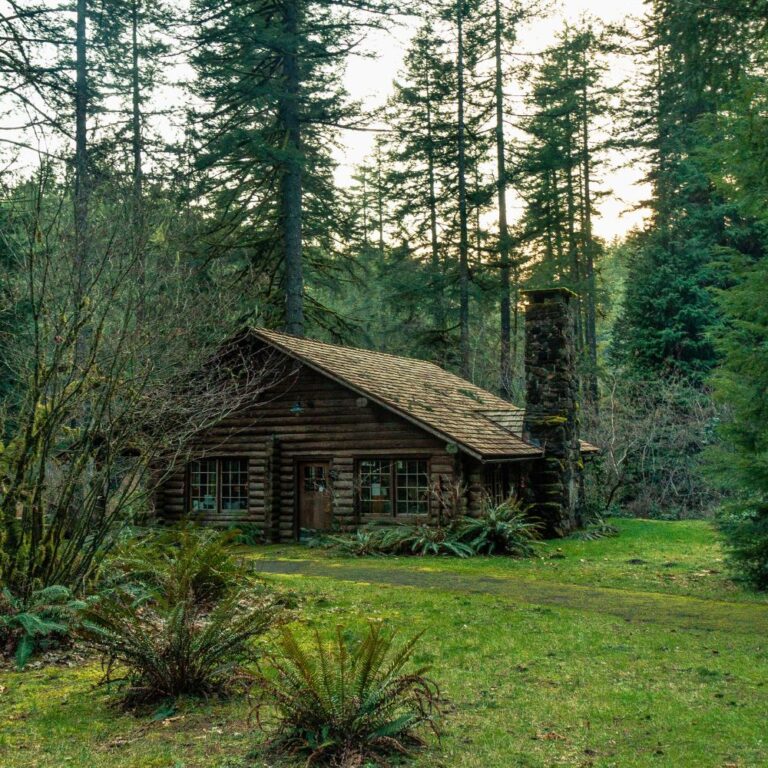 Off-grid cabin