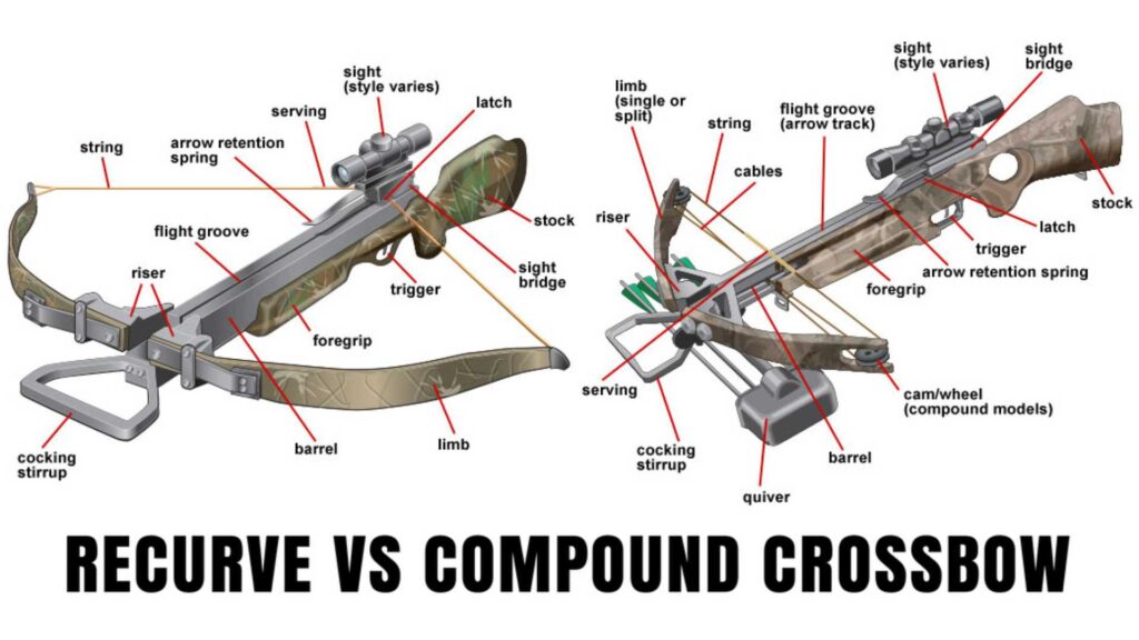 Recurve and compound crossbows