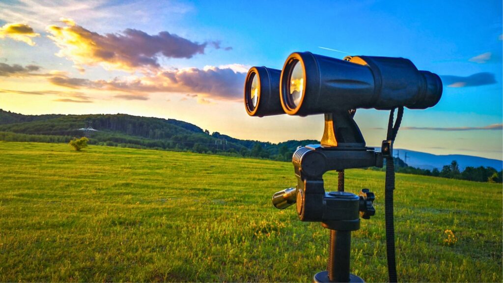 Hunting binoculars in the daytime