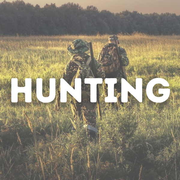 Hunting category cover