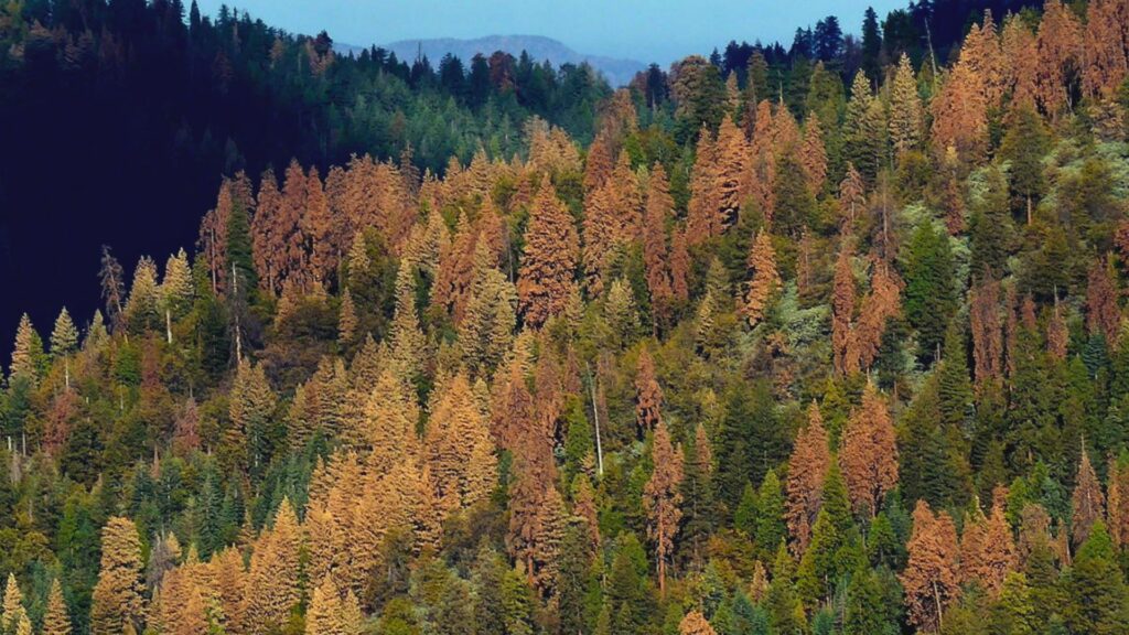 drought-climate-change