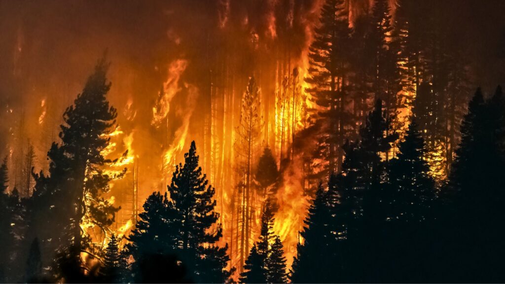 wildfire-climate-change