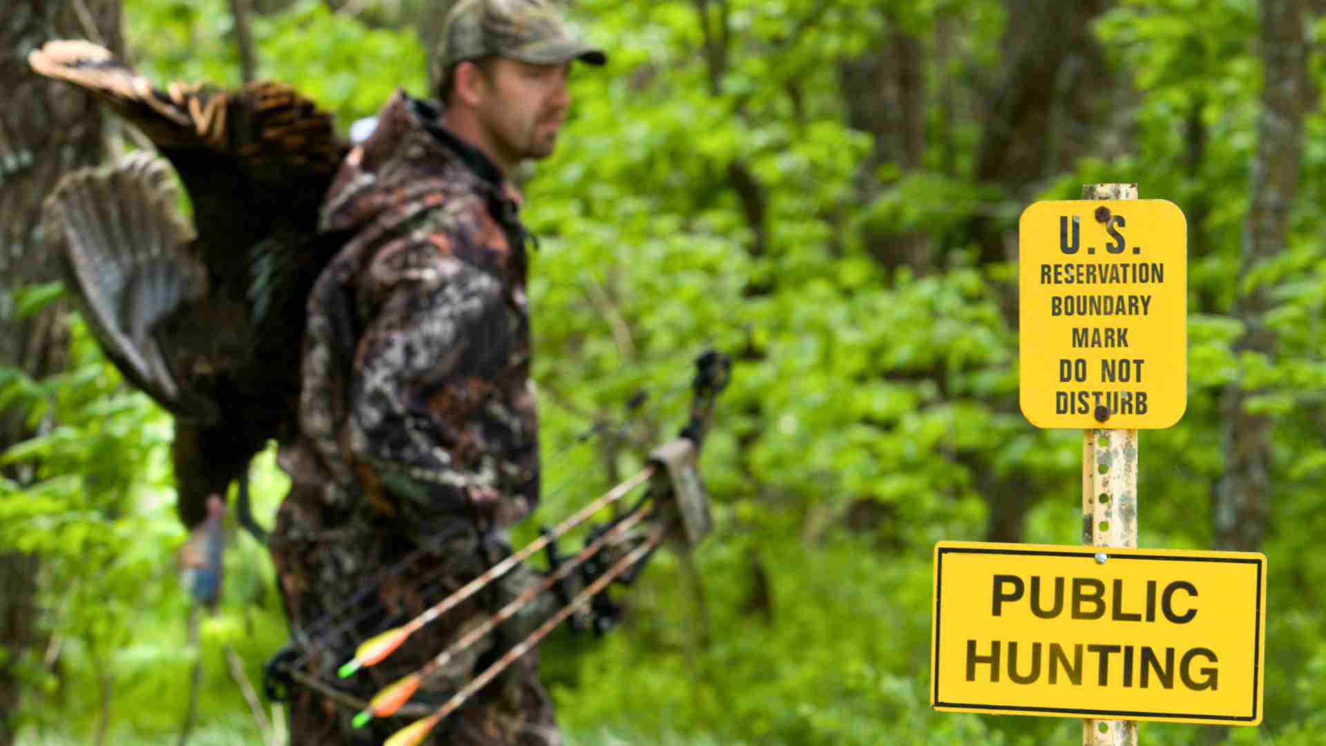 How to find a good hunting spot on public land cover