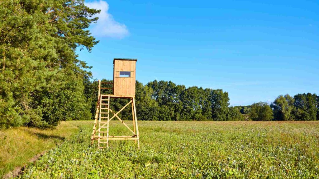 How-to-find-a-good-hunting-spot-on-public-land-hunting-blind