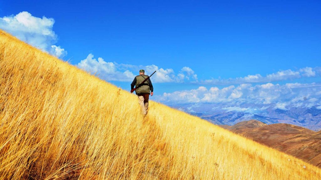 Scouting-is-important-when-learning-how-to-pick-a-good-hunting-spot-on-hunting-land